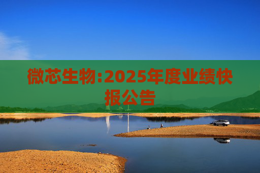 微芯生物:2025年度业绩快报公告