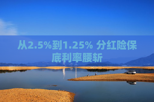 从2.5%到1.25% 分红险保底利率腰斩