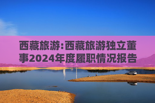 西藏旅游:西藏旅游独立董事2024年度履职情况报告（高金波）