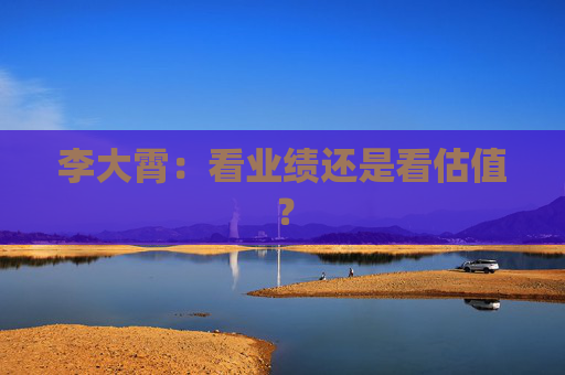 李大霄：看业绩还是看估值？