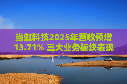 当虹科技2025年营收预增13.71% 三大业务板块表现亮眼