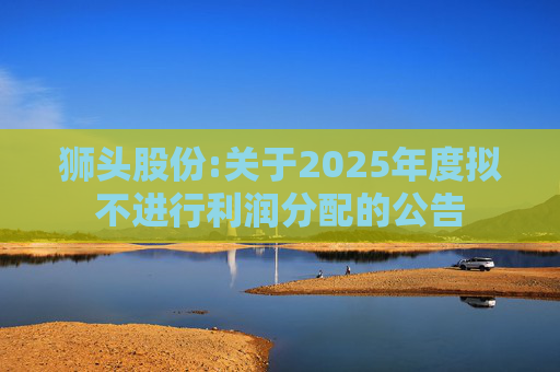 狮头股份:关于2025年度拟不进行利润分配的公告