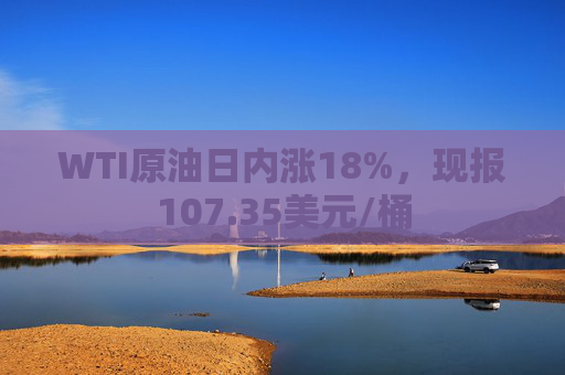 WTI原油日内涨18%，现报107.35美元/桶