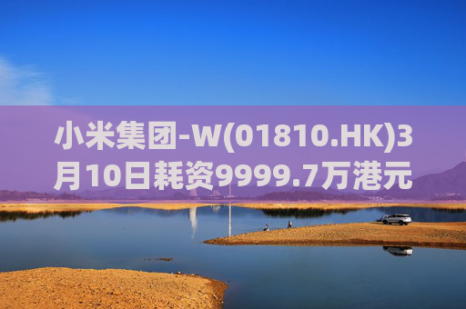 小米集团-W(01810.HK)3月10日耗资9999.7万港元回购297.7万股