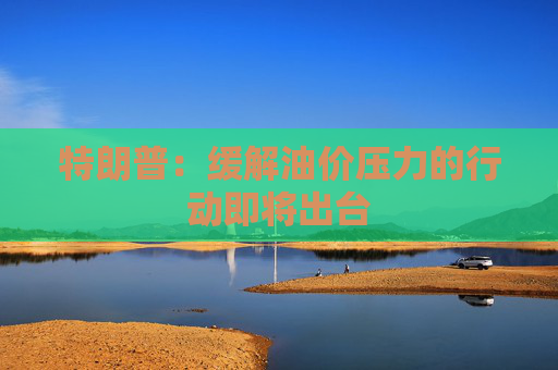 特朗普：缓解油价压力的行动即将出台
