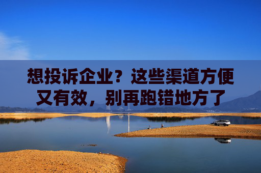 想投诉企业？这些渠道方便又有效，别再跑错地方了