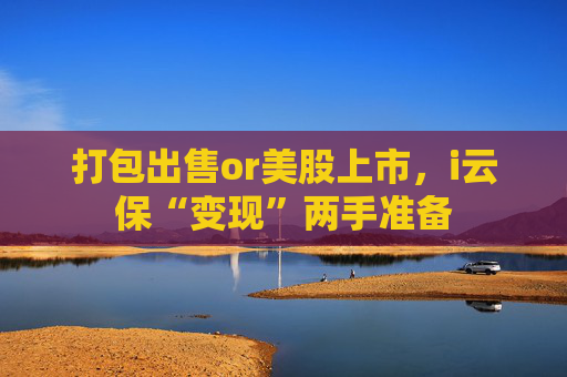 打包出售or美股上市，i云保“变现”两手准备