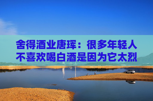 舍得酒业唐珲:很多年轻人不喜欢喝白酒是因为它太烈了,舍得把白酒做到29度仍然有白酒的味道