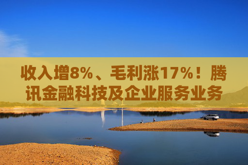 收入增8%、毛利涨17%！腾讯金融科技及企业服务业务稳健增长