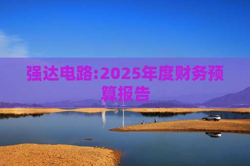 强达电路:2025年度财务预算报告  第1张