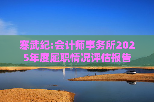 寒武纪:会计师事务所2025年度履职情况评估报告