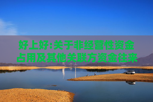 好上好:关于非经营性资金占用及其他关联方资金往来情况的专项审核说明