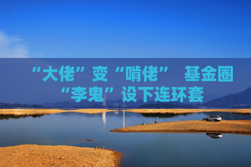 “大佬”变“啃佬”  基金圈“李鬼”设下连环套