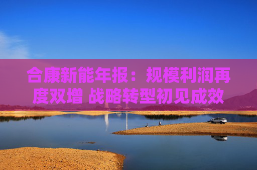 合康新能年报：规模利润再度双增 战略转型初见成效