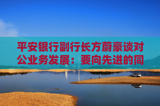 平安银行副行长方蔚豪谈对公业务发展：要向先进的同行多去学习，同时要大快步赶上