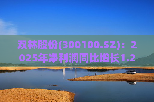 双林股份(300100.SZ):2025年净利润同比增长1.25% 拟10股派1元 第1张 双林股份(300100.SZ):2025年净利润同比增长1.25% 拟10股派1元 第1张