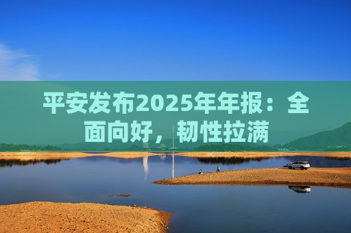 平安发布2025年年报：全面向好，韧性拉满