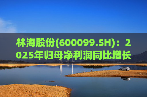 林海股份(600099.SH)：2025年归母净利润同比增长33.24%，每股拟派利0.045元