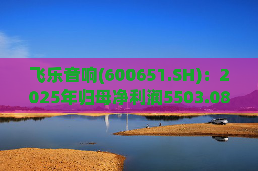 飞乐音响(600651.SH)：2025年归母净利润5503.08万元，同比增长39.41%