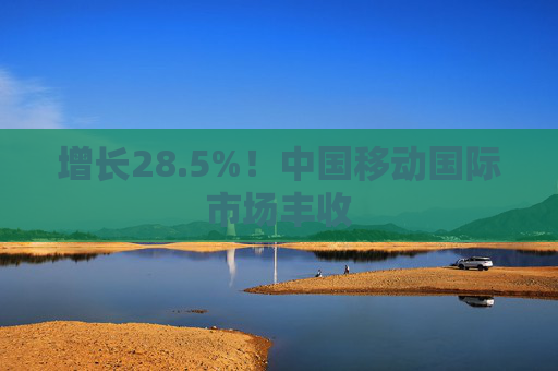 增长28.5%！中国移动国际市场丰收