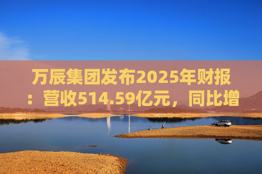 万辰集团发布2025年财报：营收514.59亿元，同比增长59.17%