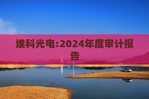 埃科光电:2024年度审计报告