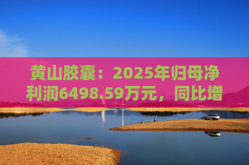 黄山胶囊：2025年归母净利润6498.59万元，同比增长31.94%