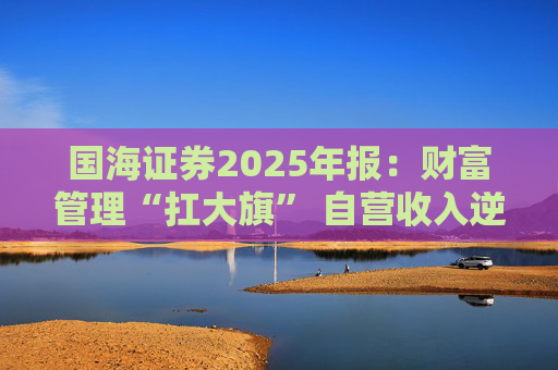 国海证券2025年报:财富管理“扛大旗” 自营收入逆势大降 投行收入占比仅2%