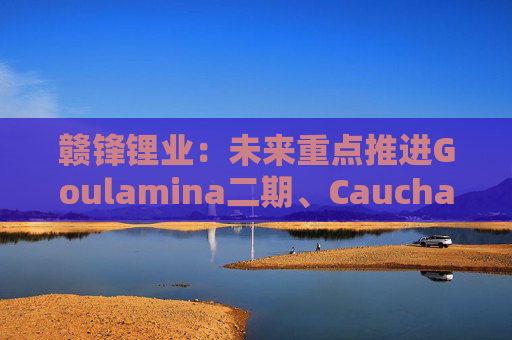 赣锋锂业：未来重点推进Goulamina二期、Cauchari-Olaroz二期及PPGS项目