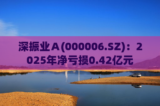 深振业Ａ(000006.SZ)：2025年净亏损0.42亿元