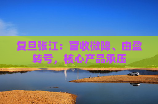 复旦张江：营收微降、由盈转亏，核心产品承压