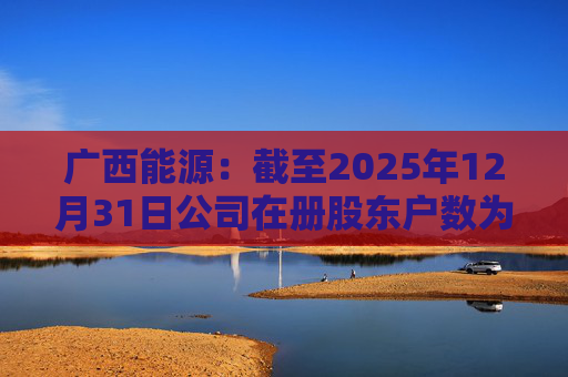 广西能源：截至2025年12月31日公司在册股东户数为53413户