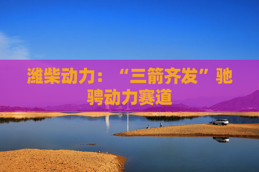 潍柴动力：“三箭齐发”驰骋动力赛道