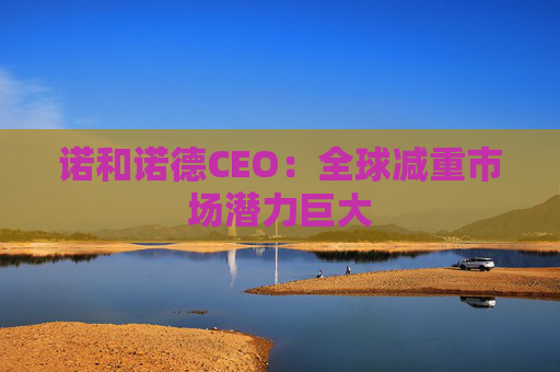 诺和诺德CEO：全球减重市场潜力巨大