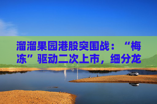 溜溜果园港股突围战：“梅冻”驱动二次上市，细分龙头能否破解盈利隐忧？