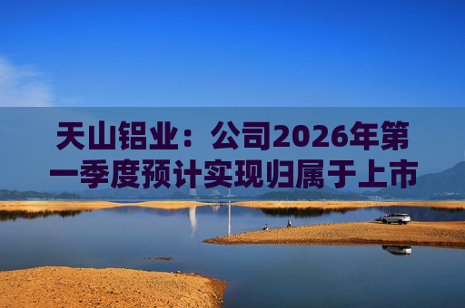 天山铝业：公司2026年第一季度预计实现归属于上市公司股东的净利润220000万元