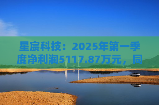 星宸科技：2025年第一季度净利润5117.87万元，同比增长0.48%