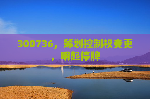 300736，筹划控制权变更，明起停牌
