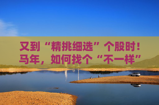又到“精挑细选”个股时！马年，如何找个“不一样”的基金管理人替你出赛？
