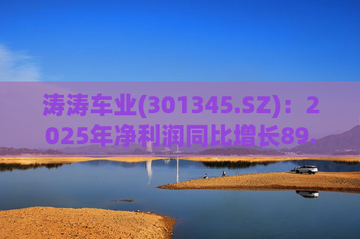 涛涛车业(301345.SZ)：2025年净利润同比增长89.29% 拟10派15元