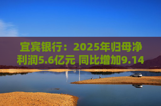 宜宾银行：2025年归母净利润5.6亿元 同比增加9.14%