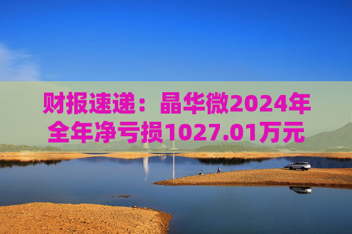 财报速递:晶华微2024年全年净亏损1027.01万元