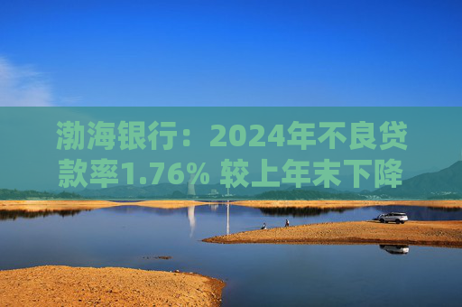 渤海银行:2024年不良贷款率1.76% 较上年末下降0.02个百分点 第1张 渤海银行:2024年不良贷款率1.76% 较上年末下降0.02个百分点 第1张