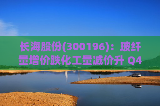 长海股份(300196)：玻纤量增价跌化工量减价升 Q4业绩同比显著修复