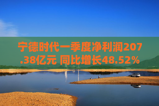 宁德时代一季度净利润207.38亿元 同比增长48.52%  第1张