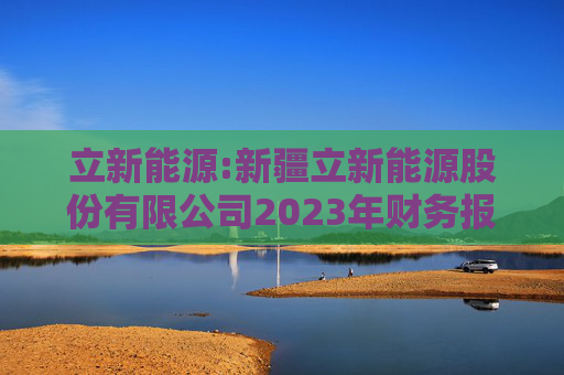立新能源:新疆立新能源股份有限公司2023年财务报表审计报告书