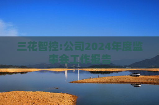 三花智控:公司2024年度监事会工作报告
