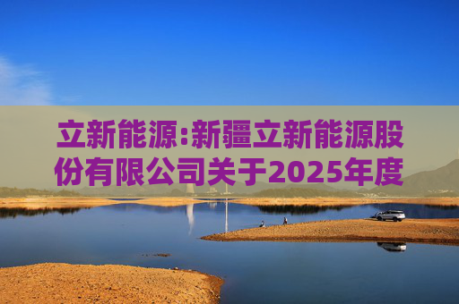 立新能源:新疆立新能源股份有限公司关于2025年度日常关联交易预计的公告  第1张