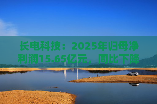 长电科技：2025年归母净利润15.65亿元，同比下降2.75%