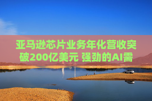 亚马逊芯片业务年化营收突破200亿美元 强劲的AI需求推动巨额资本支出投资 第1张 亚马逊芯片业务年化营收突破200亿美元 强劲的AI需求推动巨额资本支出投资 第1张